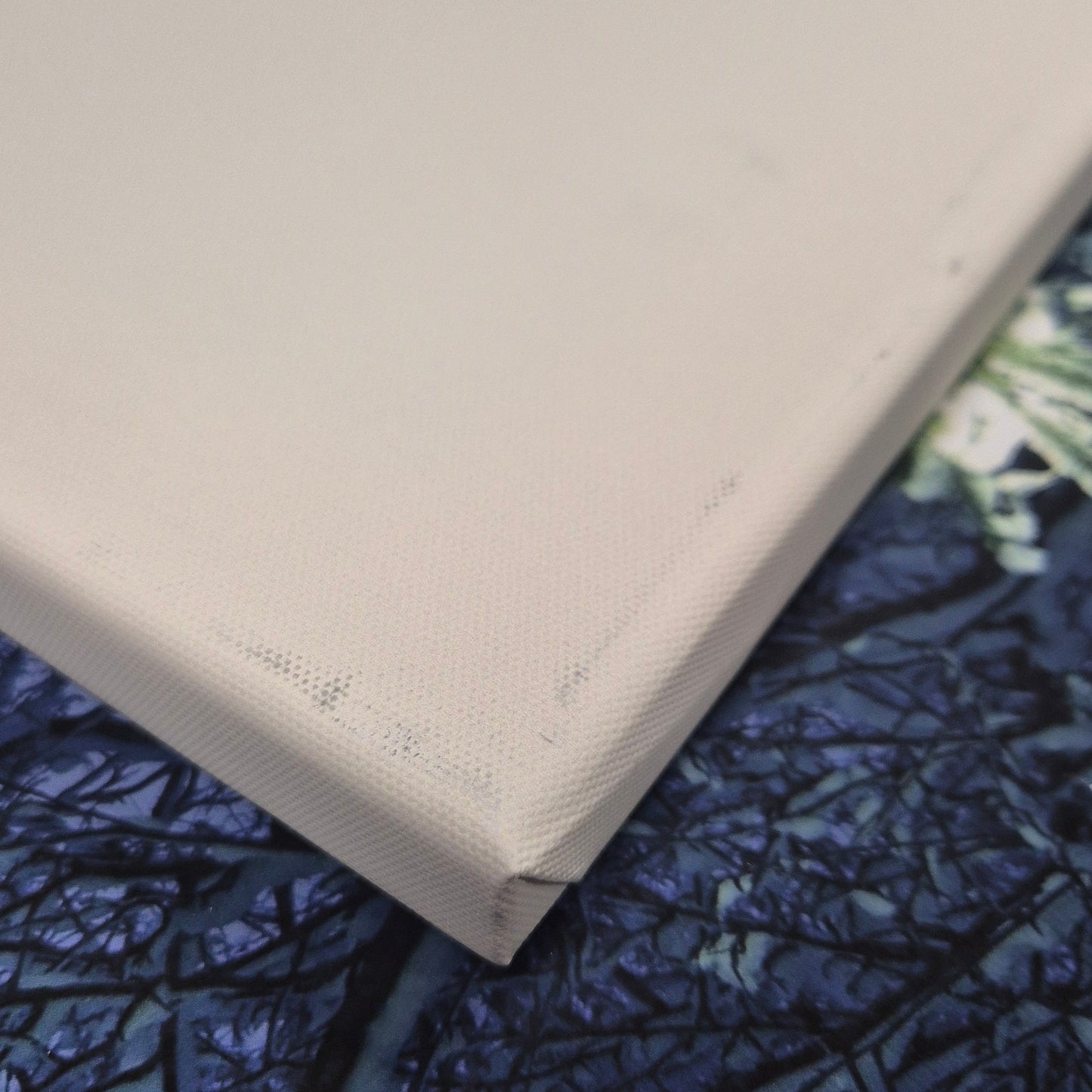 Upcycled Canvas Overpainting Mystery Pack - 2-Pack (B-Grade Prints)