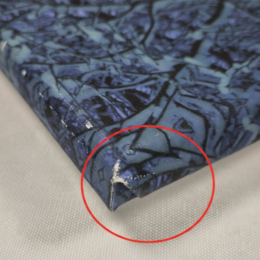 Upcycled Canvas Overpainting Mystery Pack - 2-Pack (B-Grade Prints)